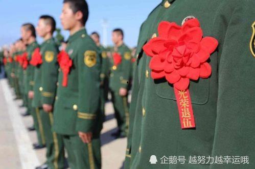 英国退役军官爆料视频真实