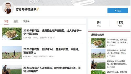 怎么爆料自己拍的视频,如何巧妙爆料你的原创视频内容